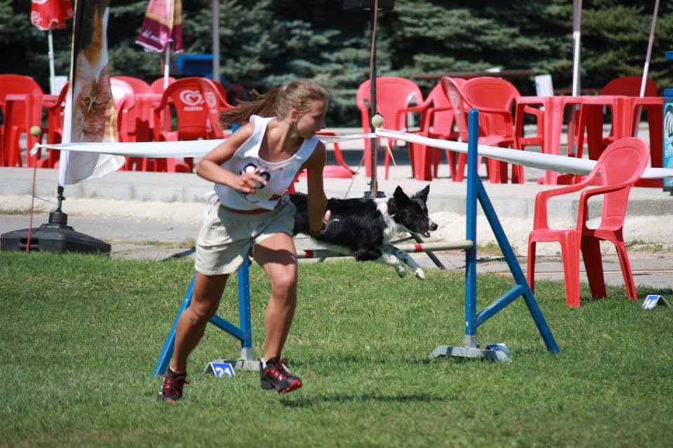 11228037_955904591120137_6798047868716102392_n