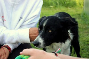 img_9308.jpg