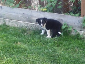20130713_201554.jpg